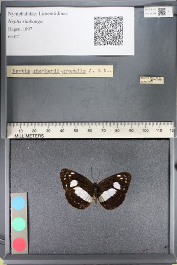Media type: image;   Entomology 137794
